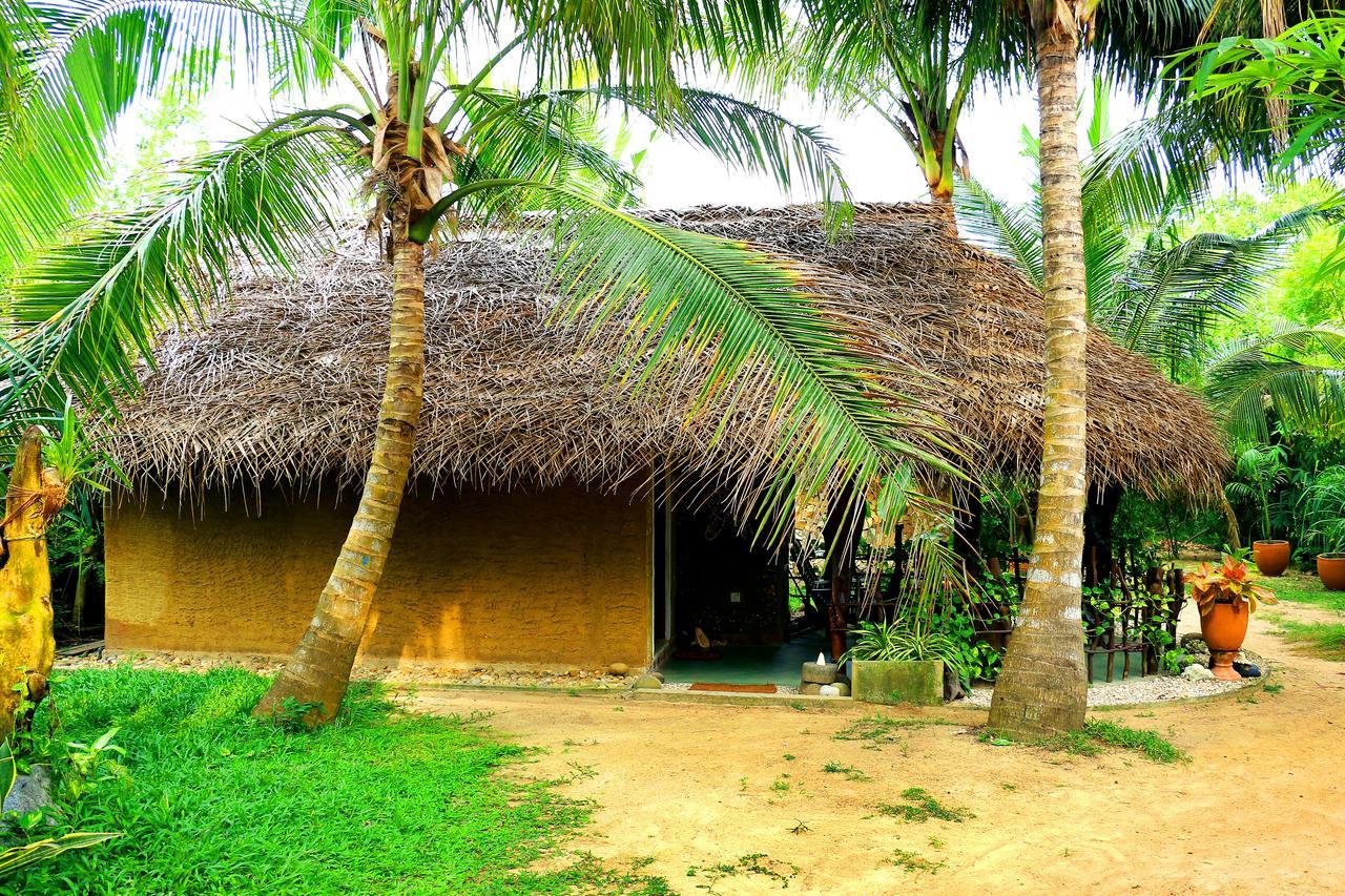 Turtle Watch Cabana Tangalle Eksteriør billede