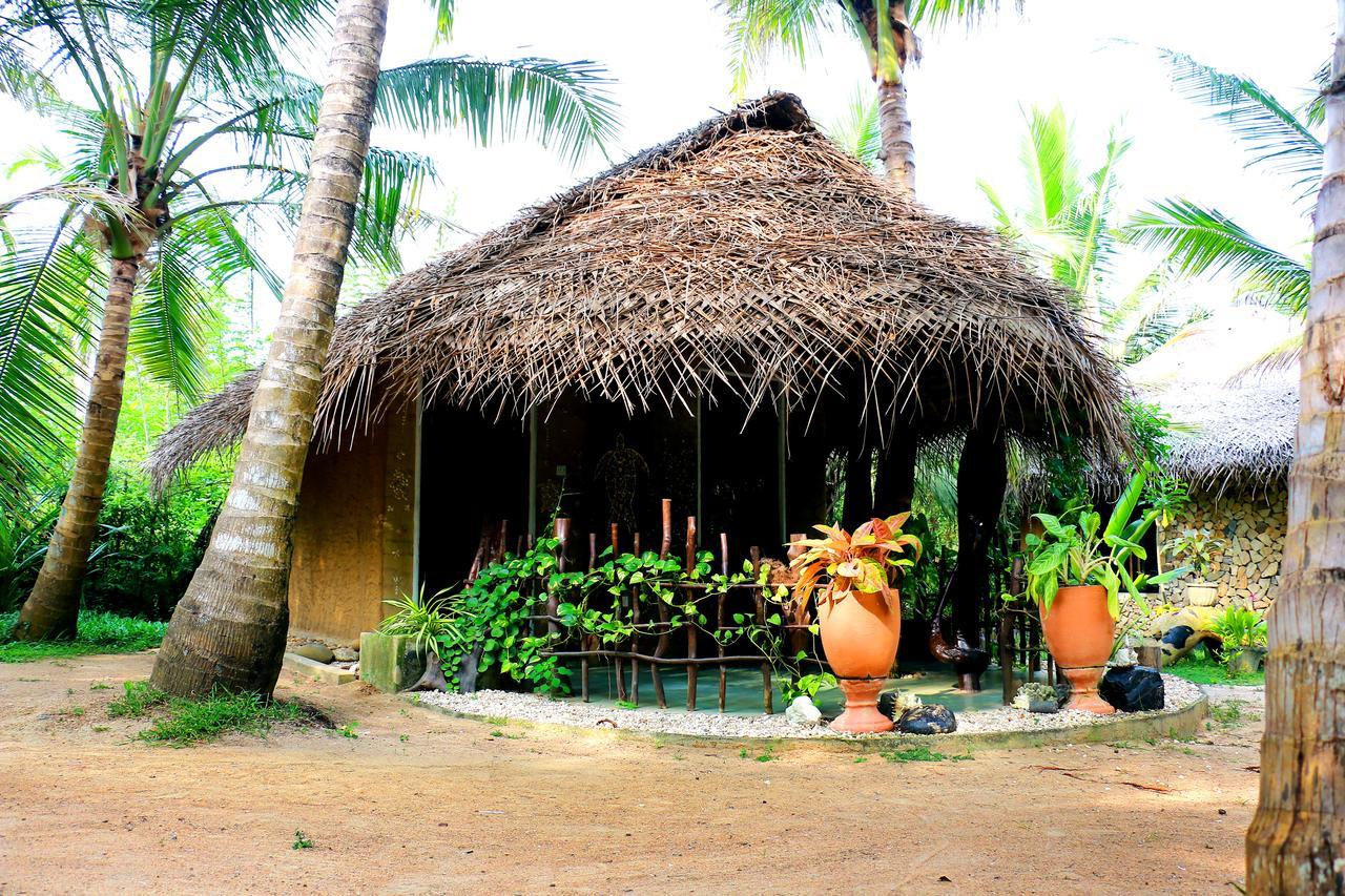 Turtle Watch Cabana Tangalle Eksteriør billede