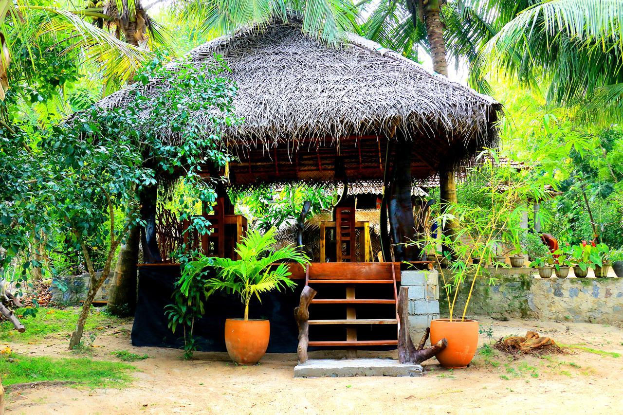 Turtle Watch Cabana Tangalle Eksteriør billede