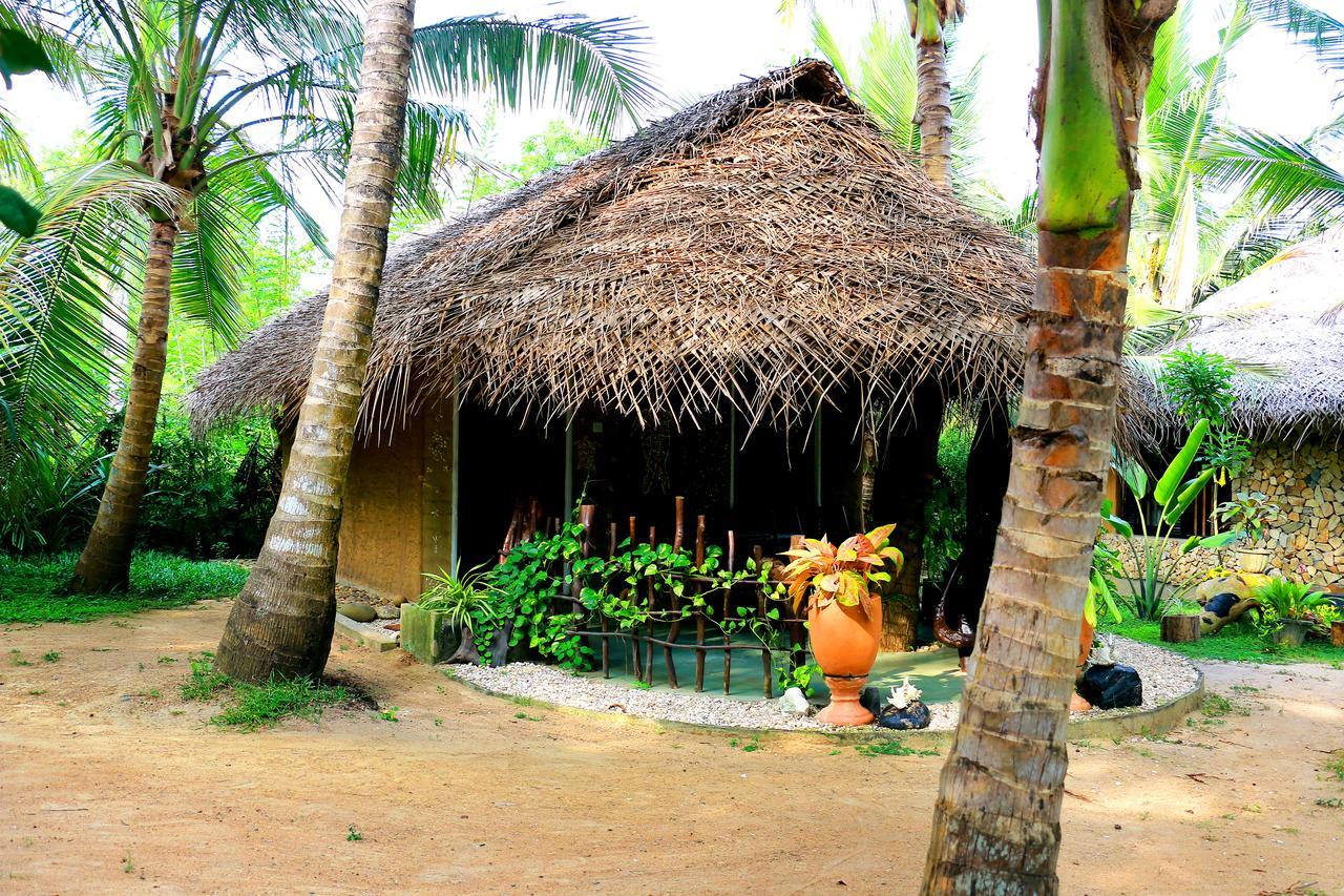 Turtle Watch Cabana Tangalle Eksteriør billede